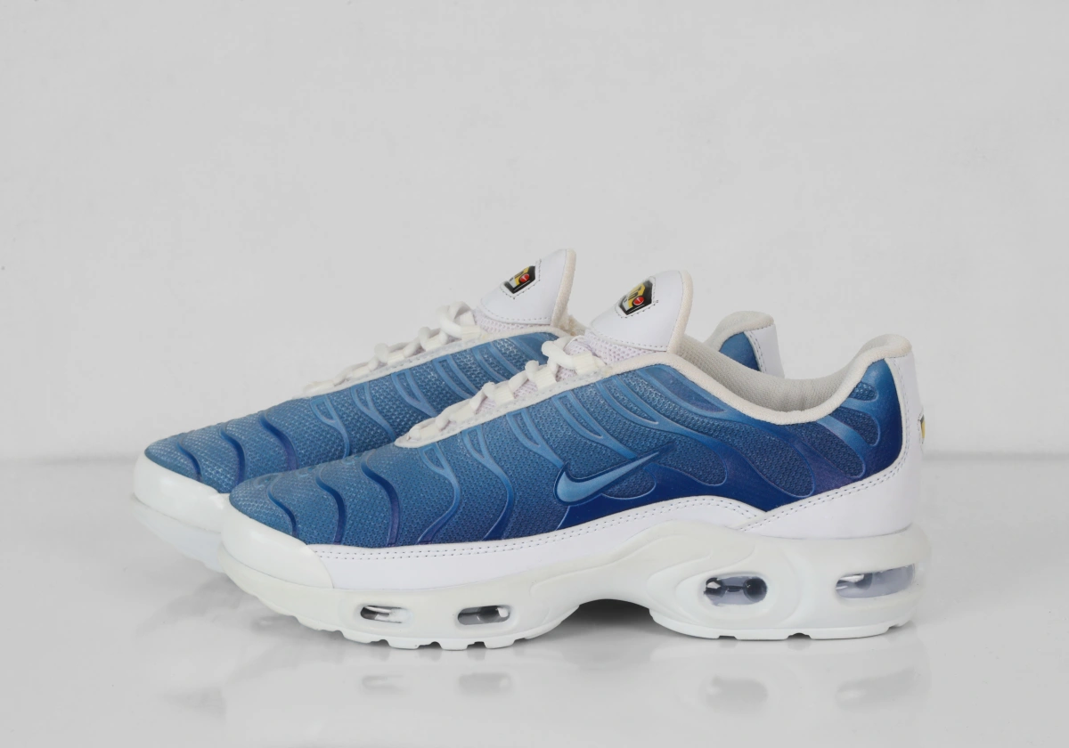 NİKE AİR MAX PLUS TN - Görsel 1