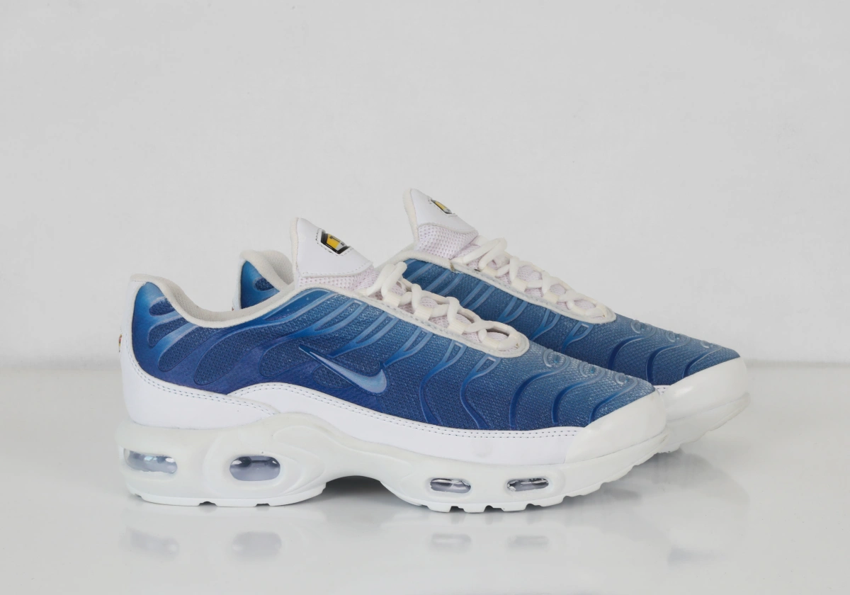 NİKE AİR MAX PLUS TN - Görsel 2