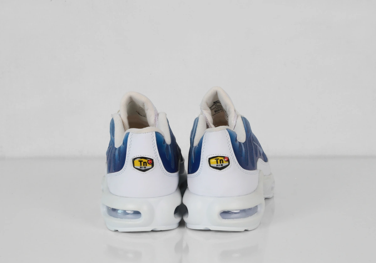 NİKE AİR MAX PLUS TN - Görsel 3