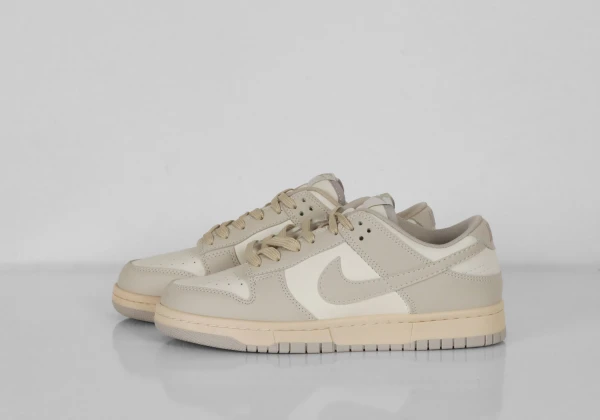 NİKE DUNK LOW RETRO